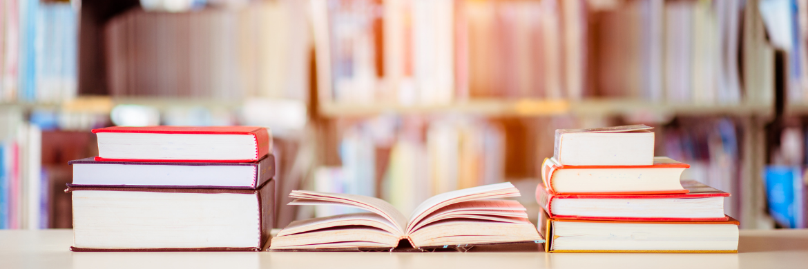 Header - stacks of books 