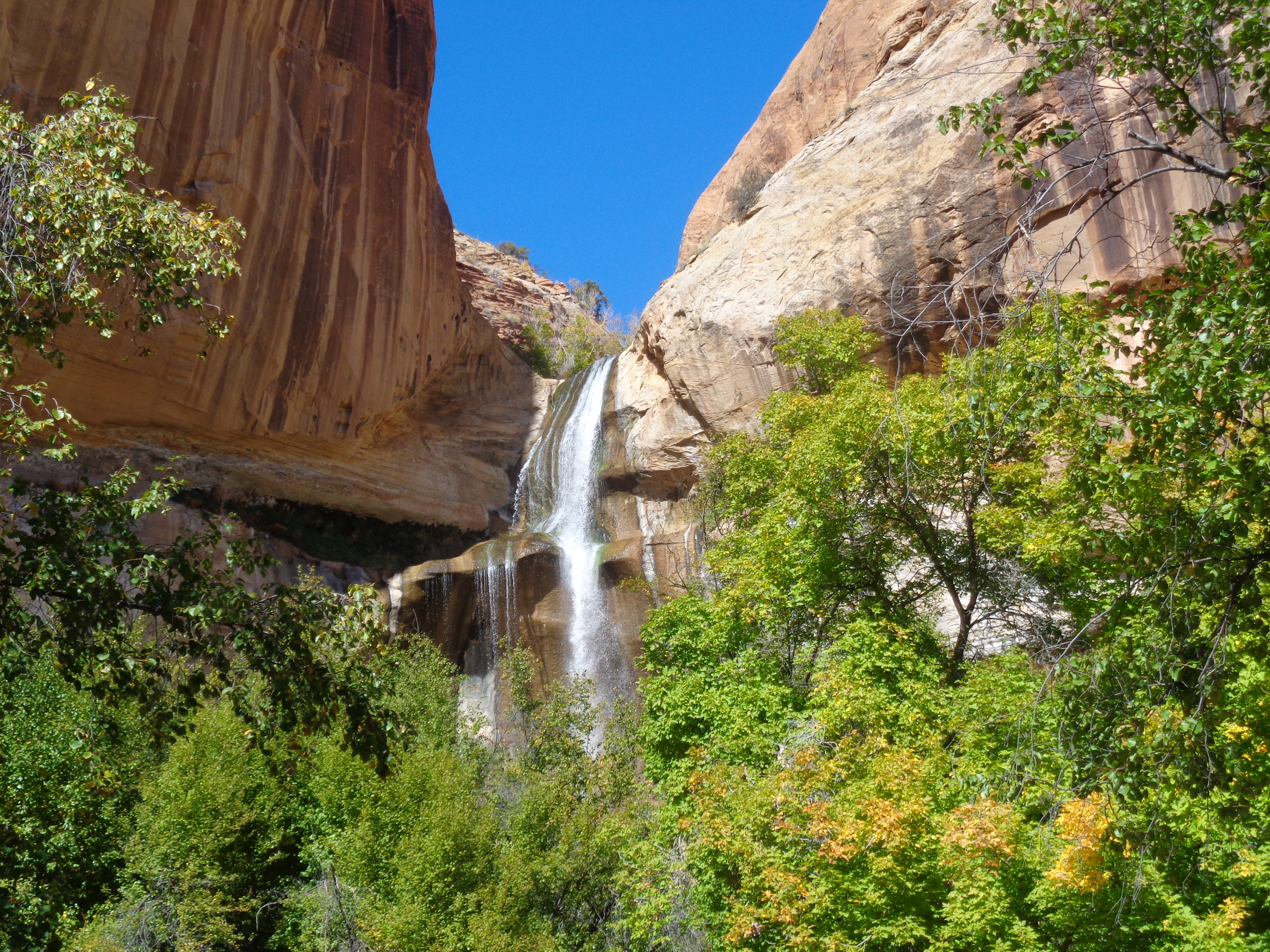 Waterfall formed by a rocky gulch with green trees below