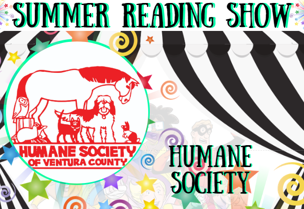 Black and white curtain with stars and swirlys overlaid, background is white with superheroes. Summer reading show and the performers name written in black lettering with an aqua shadow. Aqua colored circle frame with the performer in it. 