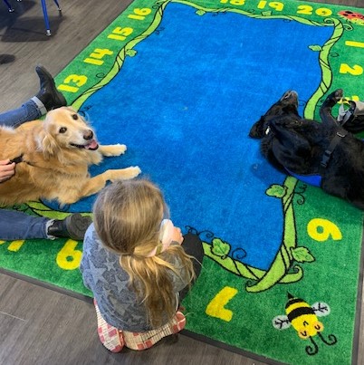 Young girl reads to a golden retriever and black lab