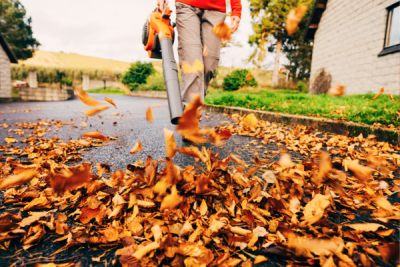 Leaf Blower