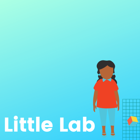 little lab 