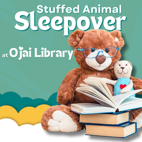 Stuffed Animal Sleepover at Ojai Library. Stuffed animals reading books together.