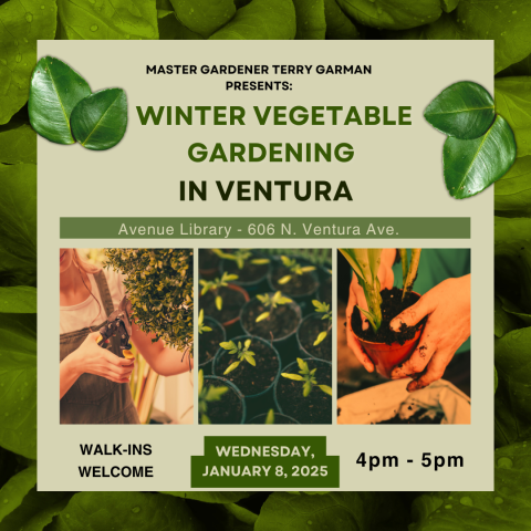 Winter Vegetable Gardening in Ventura on Wednesday, January 8 at 4pm.