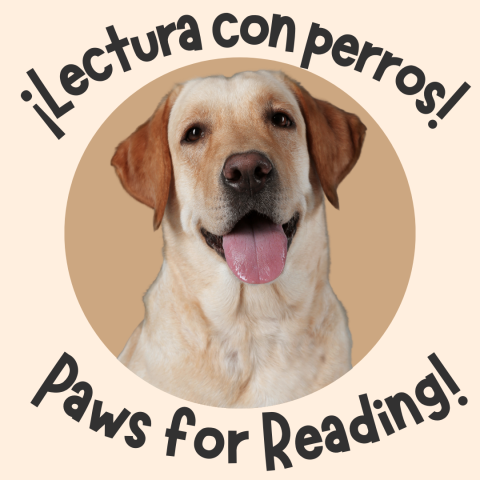 ¡Lectura con perros! Paws for Reading! Photo of a happy golden retriever.