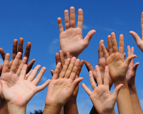 Photo of many hands raised in the air