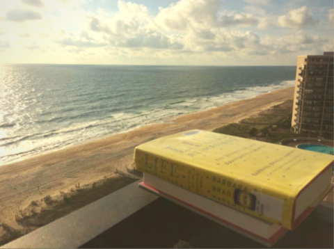 Book overlooking beach