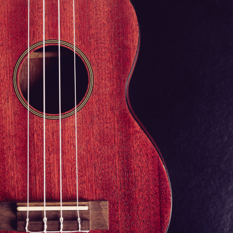 close up photo of a ukulele showing its 4 strings over the sound hole