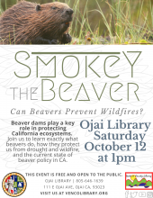 Flyer for event, info on calendar listing. Flyer is stylized, colored green and grey with an image of a beaver.