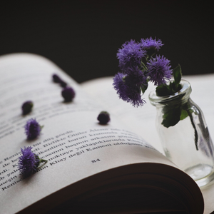 Thistle flowers in a vase laying on an open book