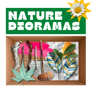 Nature Dioramas. Cardboard box with found nature objects: sticks, leaves, acorn, and some painted leaves.