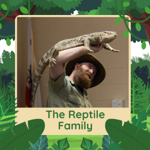 Picture of Matt from The Reptile Family holding a large lizard