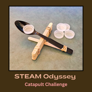 Image of a small hand-made catapult using popsicle sticks and plastic spoon
