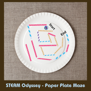 Picture of paper plate with cut straws creating a maze