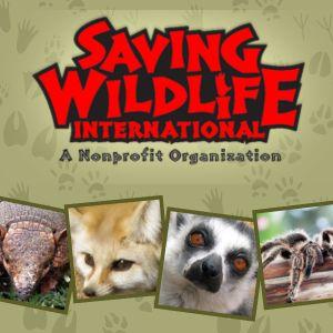 Saving Wildlife International - picture of small animals