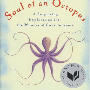 book cover for the soul of an octopus. Shows a large purple octopus and a medal indicating that the book was a national book award finalist